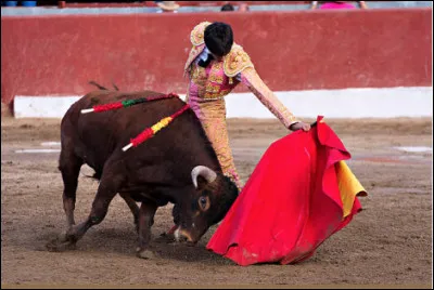 Quel est le nom du personnage central de la corrida, chargé de mettre à mort le taureau ?