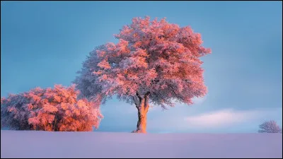 Que trouve-t-on dans un moteur d'automobile ?