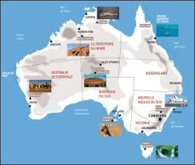 Où se trouve le nandou dans les photos ci-dessous ?