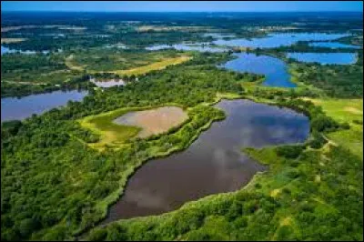 Si vous passez par là, attendez "Le Retour des cigognes", c'est la chanson que l'on entend quand le printemps sourit, dans le pays d'Alsace. Quelle est sa particularité ?