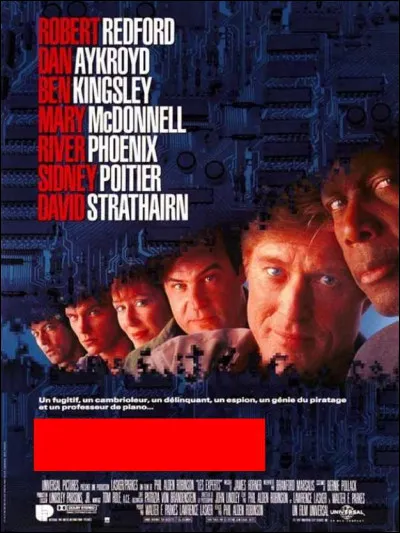 Cette affiche est celle du film...