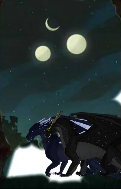 Son compagnon c'est...