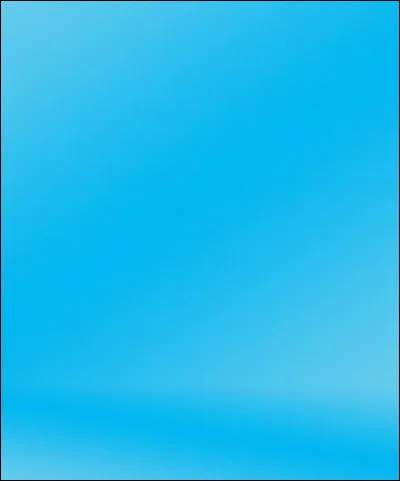 Ses yeux bleus sont ...