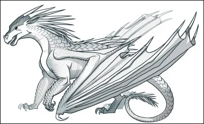 D'ailleurs comment s'appelle-t-il ?