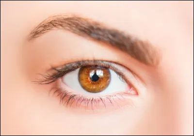 Qu'est-ce qui se met autour des yeux ?