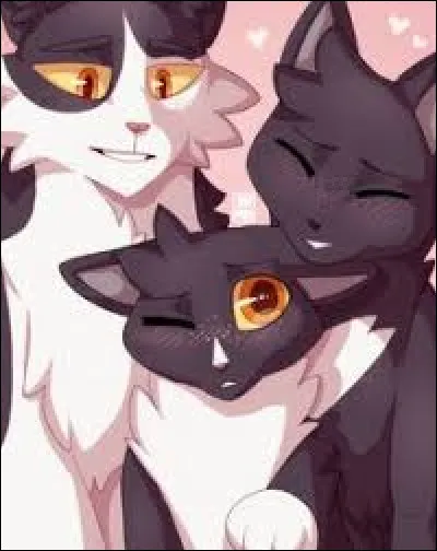 Dans LRDF, il existe un chat gris qui s'appelle Terreur.