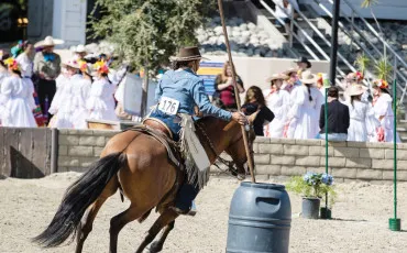 Quiz Equitation