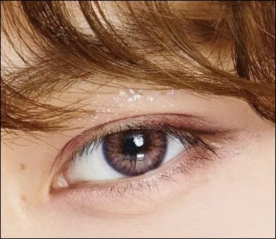 À quel membre appartiennent ces yeux ?