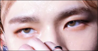 À quel membre appartiennent ces yeux ?