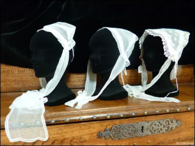 Quel animal de l'ordre des rongeurs donne son nom à cette coiffe typique de Brest ?