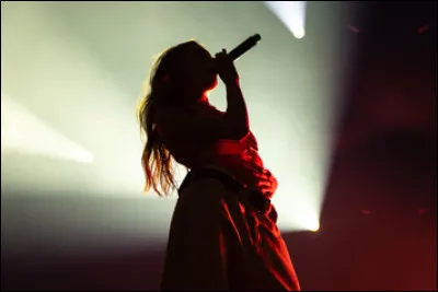 D'après une chanson, quelle chanteuse voulait mourir sur scène ?