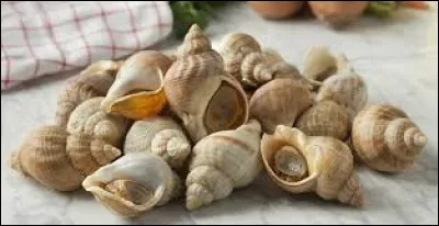 C'est près des Pyrénées que vous trouverez le véritable haricot "tarbais", c'est lui que vous verrez dans la cassole du cassoulet ou de la garbure ; de quel terroir est-il une IGP ?