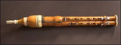 Maintenant je vous emmène dans l'Aisne, près de Soissons, pour y déguster deux variétés de haricots : la première est la variété blanche ivoire, à gros grains réniformes dans des cosses de 20 à 25 cm, quelle est la seconde ?