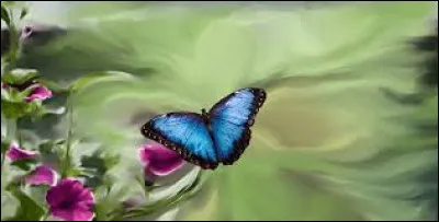 Quelle formule exprimée par le scientifique Edward Lorenz en 1972 est à l'origine de l'expression "effet papillon" ?