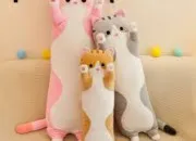 Quiz Les noms des peluches Beanie Boo's !
