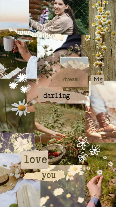 Bien ! Choisis l'image que tu préfères !