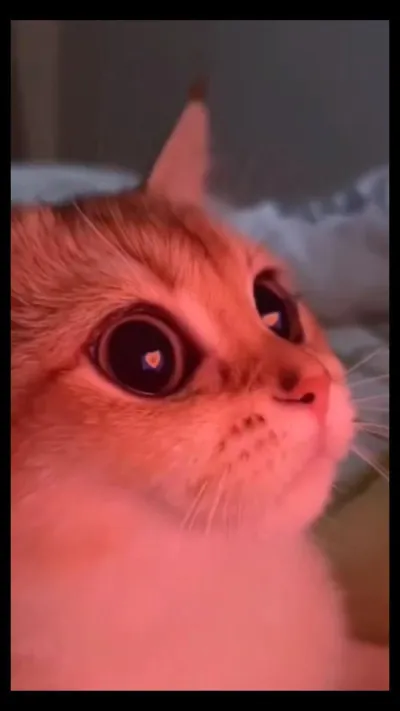 D'accord merci, et tu es plutôt...