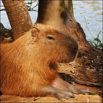 Quel est ton pire défaut ? (Partie 2)