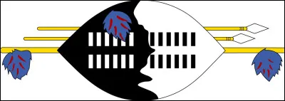 Quel drapeau est orné de ce bouclier zoulou ?