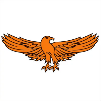 Autre rapace et autre pays africain. Vous pouvez trouver ce pygargue vocifer sur le fond vert du drapeau...