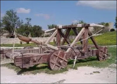 La légende veut que l'un des trois équidés ci-dessous ait la réputation d'être une licorne, lequel ?