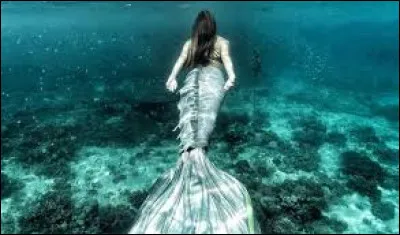 Ligoté au mat de son bateau, Ulysse a entendu le chant des Sirènes, quelle est la forme de leur queue ?