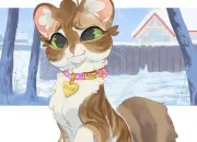 Test Es-tu un solitaire ou un chat domestique dans LGDC ?