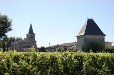 Nous terminons cette balade comme nous l'avons commencer, dans les vignes.
Nous sommes ici dans les vignes de Saint-Pey-d'Armens. Village de l'arrondissement de Libourne, dans le vignoble de Saint-Émilion, il se situe dans le département ...