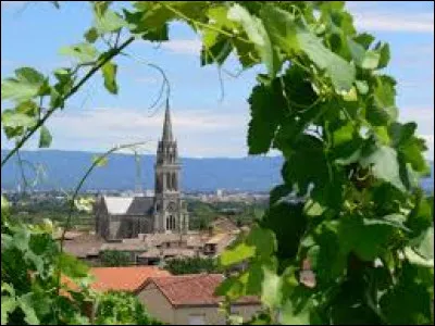 Aujourd'hui nous démarrons notre promenade dans le Vivarais, au milieu des vignes de Cornas. Ville de l'arrondissement de Tournon-sur-Rhône, au bord du Rhône, elle se situe dans le département ...