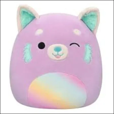 Quel est le nom de ce Squishmallow ?