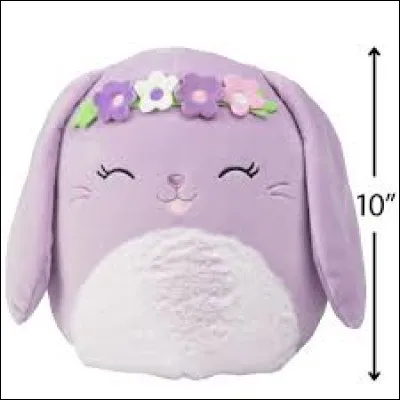 Quel est le nom de ce Squishmallow ?