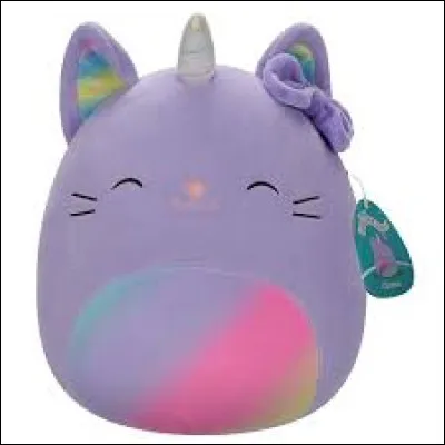 Quel est le nom de ce Squishmallow ?