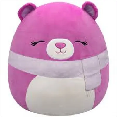 Quel est le nom de ce Squishmallow ?