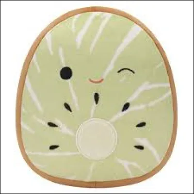 Quel est le nom de ce Squishmallow ?