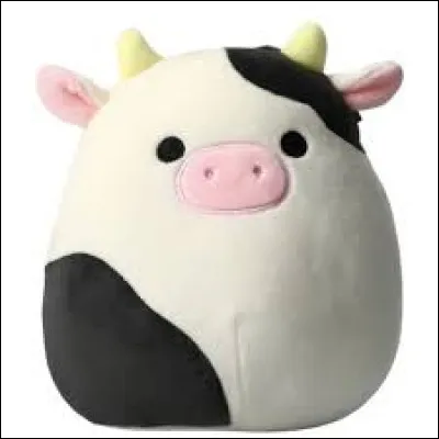 Quel est le nom de ce Squishmallow ?