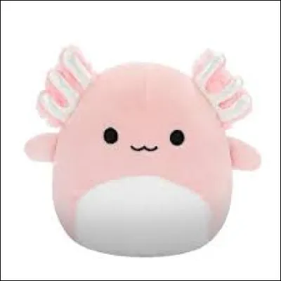 Quel est le nom de ce Squishmallow ?