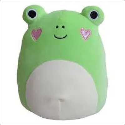 Quel est le nom de ce Squishmallow ?