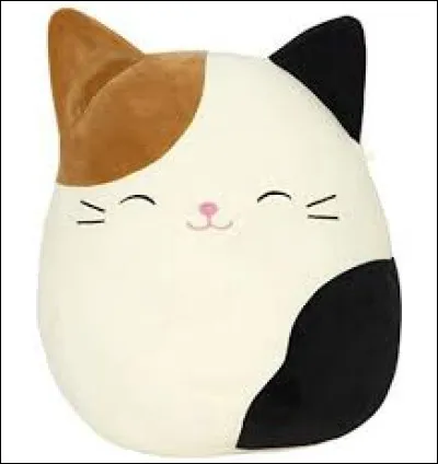 Quel est le nom de ce Squishmallow ?