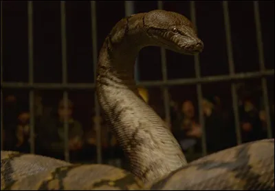 Nagini est un horcruxe. Vrai ou faux ?