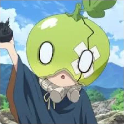 Que veut dire Suika ?