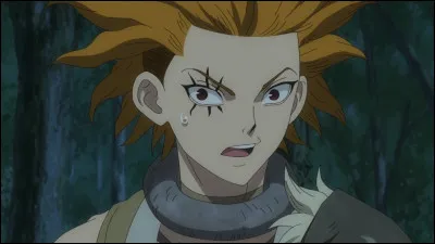 Quel était le métier de Yo avant la pétrification ?