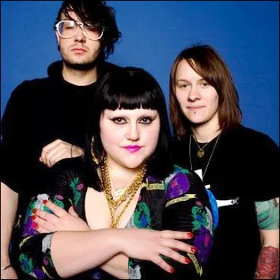 Quel groupe de rock, actif de 1999 à 2016, a sorti le titre "Standing in the Way of Control" ?