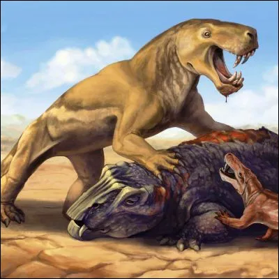 Quel mammifère est le superprédateur qui possède la plus grande aire de répartition sur Terre ?