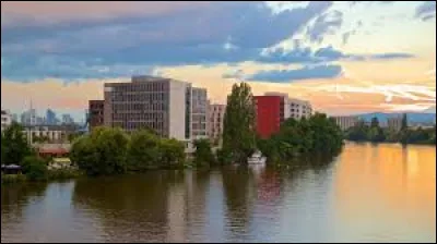 Quelle est cette ville de 130 000 habitants située en Hesse sur la rive sud du Main près de Francfort ?