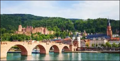 Quelle est cette ville de 160 000 habitants, ville universitaire réputée, située sur les deux rives du Neckar, dans le Land de Bade-Wurtemberg ?
