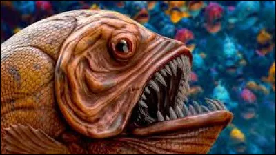 Comment se nomme la peur des poissons ?