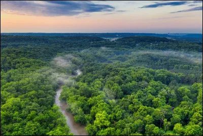 À quel pays font référence les mots suivants ? 
Favelas  Capoeira  Amazonie