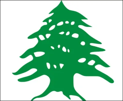 Abre emblématique du pays, ce cèdre vert est visible sur le drapeau du...
