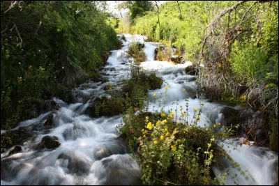 À quel âge l'a-t-il créée ?