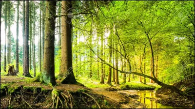 Quelle est sa nationalité ?